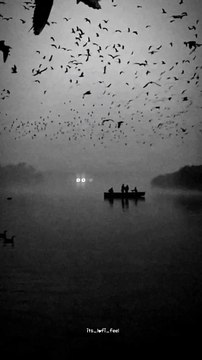 The bakwas tag, The bakwas motivational, The motivational video, Comedy video, Funny jokes video, Song, American comedy, Indian comedy, Comedy, Facebook statusWhatsApp WhatsApp, , All status Instagram status, Bhakti song, Comedian song, New musical song c