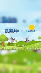 Mengenal Dan Belajar Nama Dan Suara Burung|Burung Merpati