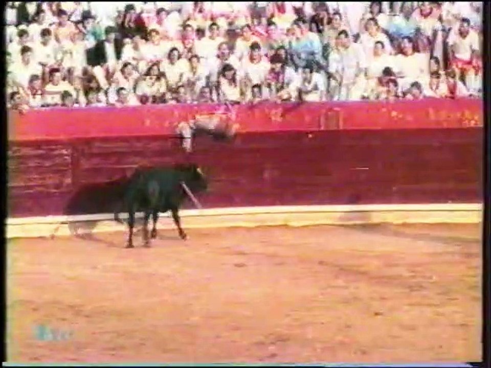 La Cara Divertida  +