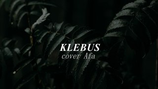 klebus cover by AFA