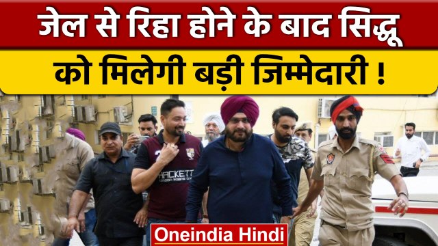Punjab: जेल से छूटते ही Navjot Singh Sidhu को मिल सकती है बड़ी जिम्मेदारी | वनइंडिया हिंदी | *News