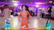 Jogi Been Wajae Phirdy  Mehak Malik  Super Hit Dance 2022 | Daily Mixer