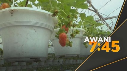 Pemanasan Global | Cameron Highlands diancam perubahan iklim?