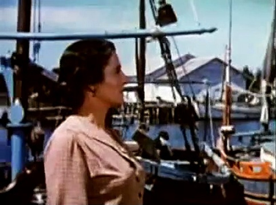 Beneath the 12 Mile Reef