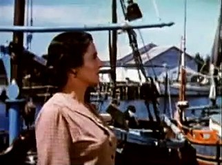 Beneath the 12 Mile Reef