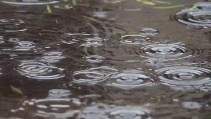 Video hujan untuk relaksasi