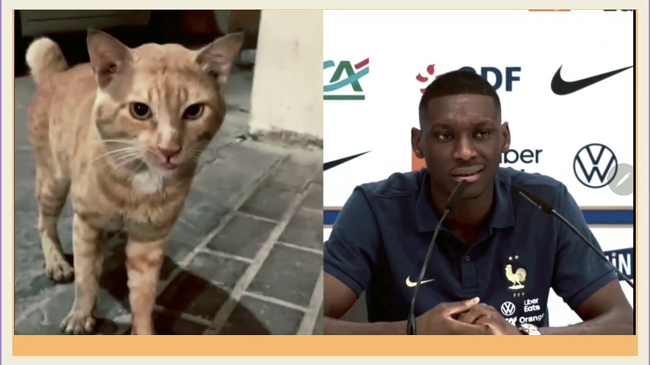 France’s Dembele 'scared of cats', says teammate