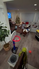 2-Year-Old Son Doing Trick Shots