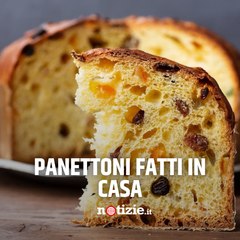 Clima natalizio: ecco alcuni panettoni fatti in casa