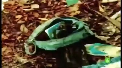 Crímenes Imperfectos - Capítulo 18: Secretos y Misterios Sin Resolver 🔍