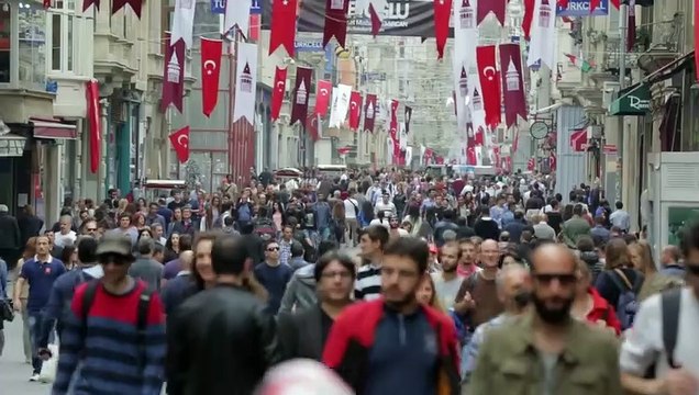 Kedi - Des chats et des hommes Bande-annonce (NL)