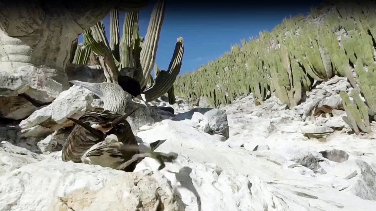 Wildes Mexiko Staffel 1 Folge 3 - Part 02 HD Deutsch