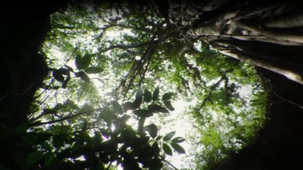 Wildes Mexiko Staffel 1 Folge 3 - Part 01 HD Deutsch