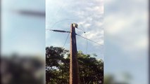 Fio de luz arrebentado na Linha Esperança, em Catanduvas, traz prejuízo a produtores