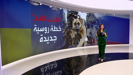التاسعة هذ المساء | "الكلب اللغم".. أسلوب حربي جديد تستخدمه روسيا في الحرب بأوكرانيا