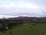 Fields of sheep by Slieve Snaght aka Sliabh Sneachta 'snow mountain', Donegal, Ireland