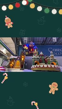 Carole Town at Lowe’s in Baton Rouge, Louisiana