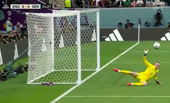 'We were very fortunate that Jordan Pickford made a great save and we stayed in the game': Ian Wright hails England goalkeeper after his fine stop kept them level against Senegal