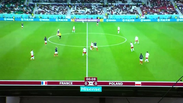 France Pologne : deux potes supporters... mais pas tout à fait de la même équipe