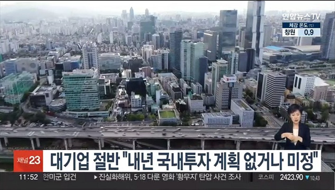대기업 절반 "내년 국내투자 계획 없거나 미정"