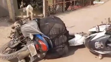 कटिहार: पुलिस ने 11 बाइक पर लदे भारी मात्रा में नेपाली शराब किया जप्त