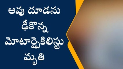 పశ్చిమ గోదావరి జిల్లా: అడ్డంగా వచ్చిన ఆవుదూడ... స్పాట్ డెడ్