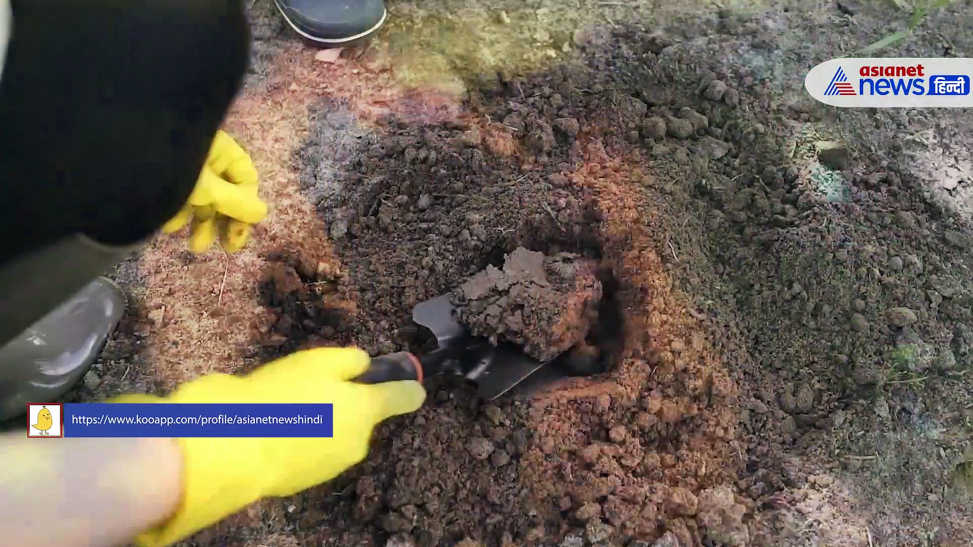 World Soil Day: 60 साल बाद क्या धरती से खत्म हो जाएगी मिट्टी?