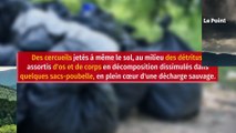 Corse : ils jettent des restes humains dans le maquis et finissent au tribunal