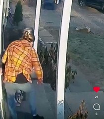 Küçük kızını rakun saldırısından böyle kurtardı