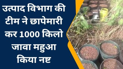 जमुई: नर्बदा में उत्पाद विभाग की टीम ने छापेमारी कर 1000 किलो जावा महुआ किया नष्ट