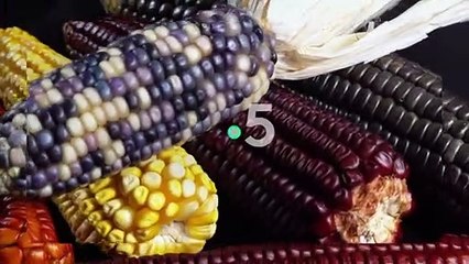 Cuisine mexicaine, ça ne manque pas de piquant ! - 6 décembre