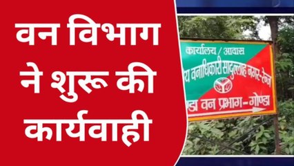 गोण्डा: हरियाली पर चला लकड़ी माफियाओं का आरा
