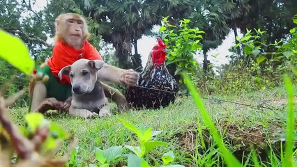 Horrible Video ! SokYaa Argue Halaand Very Cruel , Why Like This