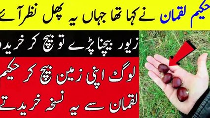 I Lose Belly Fat with This Simple Fruit - Weight Loss Fast at Home