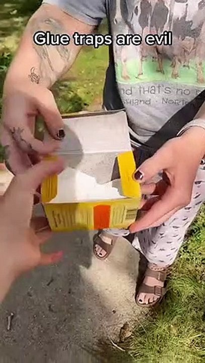 Mother and baby left to starve to death on a glue trap, while the homeowners went on vacation…