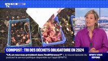 Le compostage va-t-il devenir obligatoire, même en appartement ? BFMTV répond à vos questions