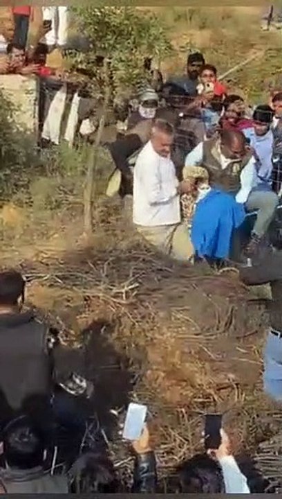 जयपुर में पैंथर का आतंक, हर दिन कर रहा 4 से 5 ब...