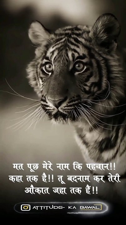 Hindi Motivational Quotes