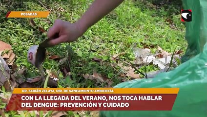Con la llegada del verano, nos toca hablar del dengue: prevención y cuidado