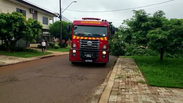 Bombeiros realizam poda de árvore caída em rua no Cascavel Velho