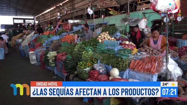Productores advierten alza de precios en productos de la canasta familiar y escasez de alimentos por extrema sequía en Santa Cruz
