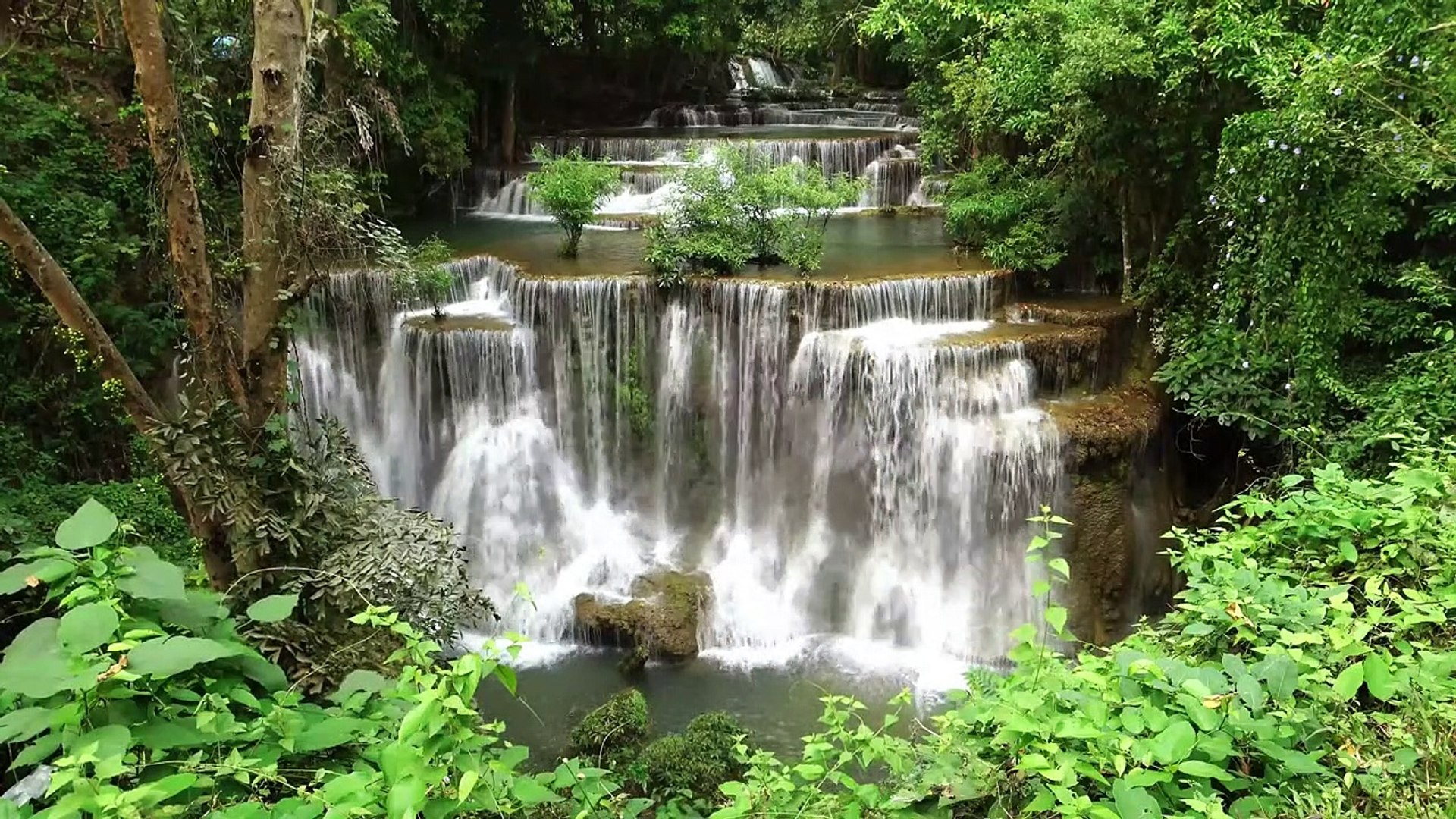 ⁣Beautiful Small Rainforest waterfall   Nature Sounds, Birds Chirping, Water Stream, Stress relief