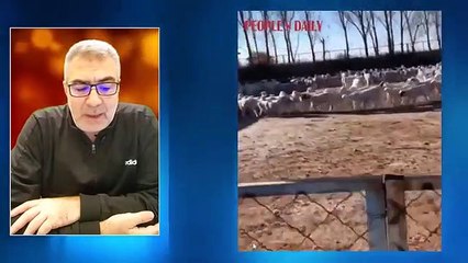 الفيديو الذي أرغب الجميع، ظاهرة الحيوانات التي تدور على شكل دائرة