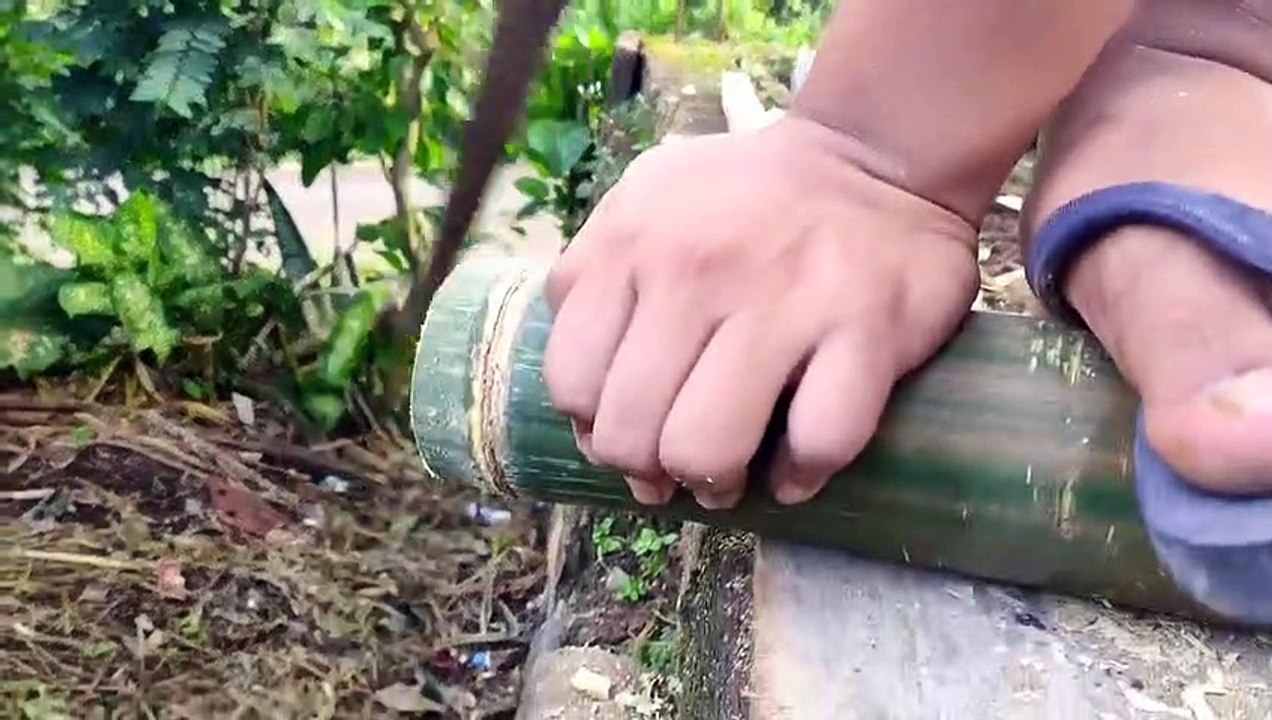 Bamboo creativity