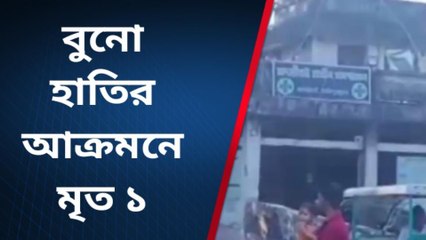 ভয়াবহ আক্রমণ !শুঁড়ে পেঁচিয়ে পিষে মারল ব্যক্তিকে !পড়ে রক্তাক্ত দলাপাকানো দেহ