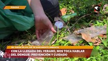 Con la llegada del verano, nos toca hablar del dengue prevención y cuidado