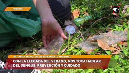 Con la llegada del verano, nos toca hablar del dengue prevención y cuidado