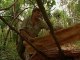 Ray Mears' Extreme Survival S01E06 Arnhem Land