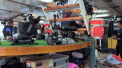 Underwater Volcanoes - Oases of the Sea