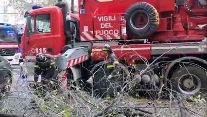 Milano, albero cade sulle auto